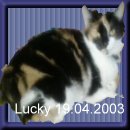 lucky