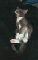 gähn